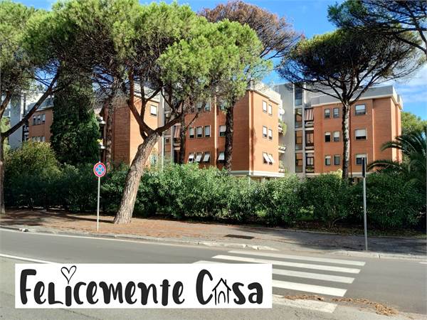 Appartamento ampia metratura zona residenziale